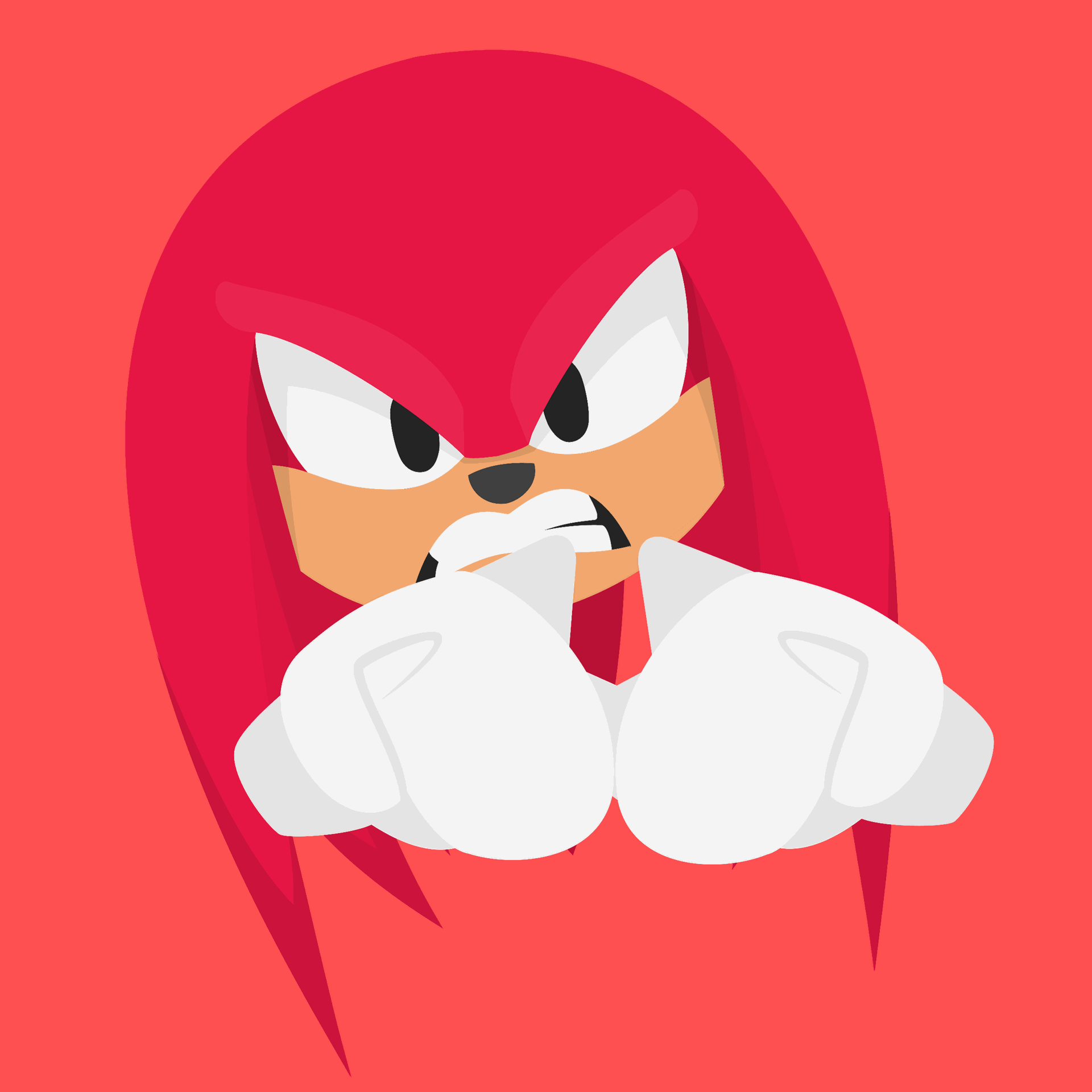 Sonic The Hedgehog: Cute Icon Or Profile Picture Of Knuckles